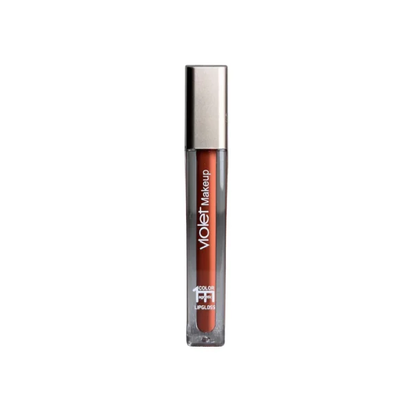 Lip Gloss – Bold Shine with Fierce Color & High-Gloss Energy