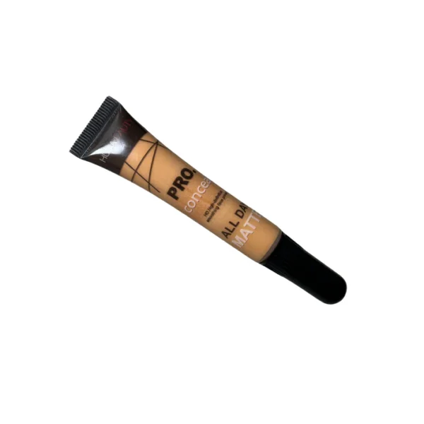 Huxia Pro Concealer – Full Coverage, All Day Matte Wear